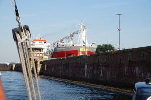 Den Knaben haben wir immer wieder getroffen. Zu letzt auf der Elbe