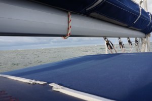 Das war auch noch nicht draussen. DA hatte ich keine Chancen mehr zu fotografieren.