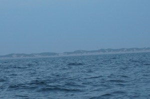 Texel in the morning