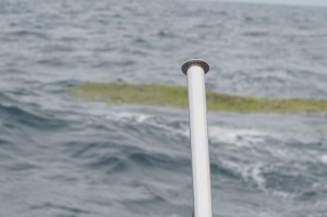 Das Zeug in Kühlwasseransaugung und man hat richtig Freude. Einmal reicht die Erfahrung