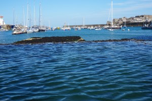 Das war gestern unser Eingang. Wäre jetzt recht schwierig 