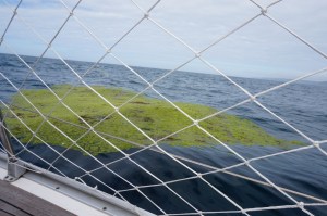 Lustig die Engländer, ein Green mitten auf dem Wasser
